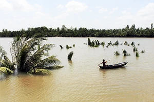 TP.HCM: 1.000 m2 đất bị nước cuốn, hàng chục người thoát chết