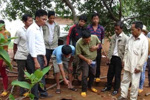 Sống với người tâm thần phải làm sao?