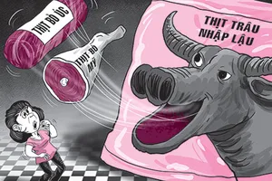 Thịt trâu Ấn Độ ‘biến’ đi đâu? 