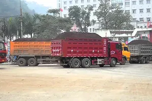 Kinh tế TQ ‘hạ nhiệt’ có ảnh hưởng VN? 