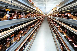 Nông nghiệp cõng hơn 1.000 loại phí, lệ phí