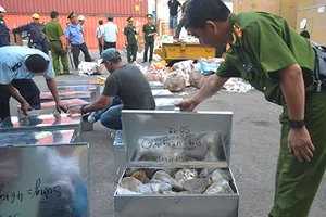 Lợi dụng kẽ hở nhập lậu ngà voi, sừng tê giác