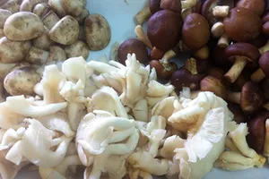 Làm sao để đừng lên xe… lăn?