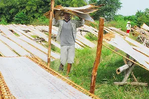 Đề nghị xóa chục ngàn tỉ đồng thuế