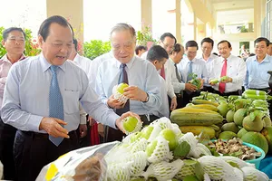 Củ Chi trở thành huyện nông thôn mới đầu tiên