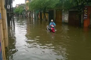 Hà Nội: Chi hàng ngàn tỉ, ngập vẫn hoàn ngập