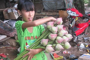 Bé gái 11 tuổi nghỉ học, kiếm tiền nuôi cha