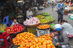 Hồng Trung Quốc ‘giết’ hồng Đà Lạt 
