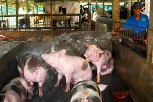 Bỏ nhiều loại phí để tăng sức cạnh tranh