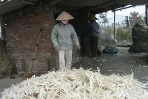 Phân bón công nghệ cao từ… lông gà, lông vịt