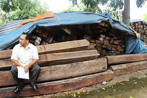 Điêu đứng vì dính ‘buôn gỗ lậu’