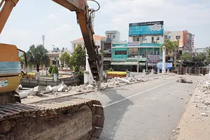 ‘Tháo dỡ cầu Đúc trăm tuổi hơi vội’