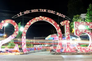 Khai mạc lễ hội hoa tam giác mạch