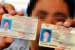 Giấy phép lái xe PET làm giả tinh vi