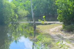 Ba học sinh chết đuối trên cái ao vô chủ?