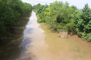 Cho đào rạch mới, lấp rạch cũ vì quyền lợi doanh nghiệp?