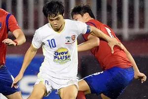 Khi ‘Công’ hóa ‘Phượng’