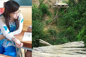 Lên Facebook chê cầu sập, giáo viên bị ‘xử’