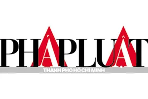 Phần lớn người bán dâm sử dụng ma túy đá