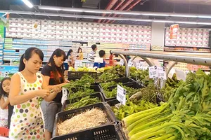 Bùng nổ rau sạch