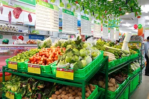 Đành phải tin mình