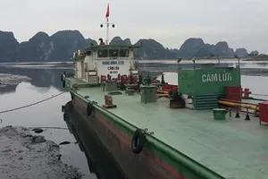 Vụ cảng, bến ‘chết dở’ vì hai cấp cùng quản: Địa phương ‘rút lui’