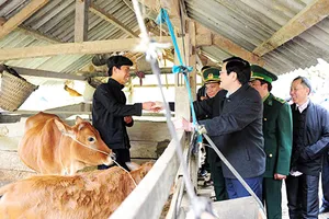 Chủ tịch nước tặng quà cho người dân vùng biên giới