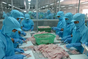 Nghị sĩ Mỹ lên tiếng, cá tra Việt có thoát ‘nạn’? 