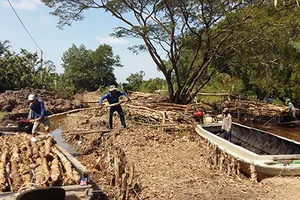 Sạch túi vì con đập phi lý