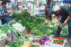 Mạnh tay với thực phẩm bẩn