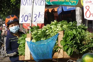 Ra đường là đụng ‘rau sinh thái’