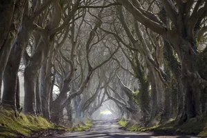 Diêm Vương cũng phải khóc!