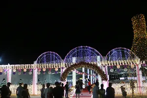 Đám cưới ‘khủng’ ở Bạc Liêu và món quà cưới gần 46 tỉ đồng