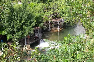 Trang trại trái phép ‘ẩn’ sau biệt phủ đại gia vàng