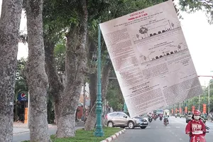 Hỏi ý dân rồi mới chặt cây, tại sao không? 