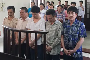 Một phiên tòa, năm bị cáo được trả tự do