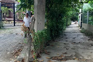 Tự trả đất ủy ban cấp nhầm nhưng không được ghi nhận