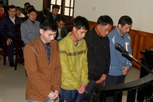 Vụ sập giàn giáo ở Formosa: Cả bốn bị cáo đều xin hưởng án treo