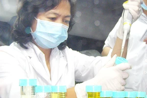 Thú y ‘mua’ tin heo nhiễm chất cấm