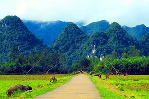 Cảnh sắc Quảng Bình chờ đón Hollywood