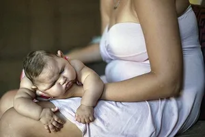 Khẩn cấp ngăn chặn virus Zika