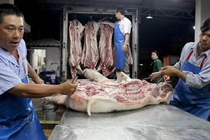 Tuồn heo chết, heo bơm nước vào chợ đầu mối