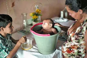 Virus Zika khó phát sinh thành dịch