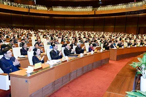 Ứng cử ĐBQH, HĐND khóa tới có gì mới?