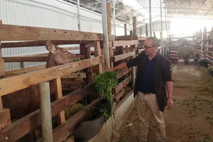 Làng nai Châu Sơn