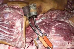 Phạt 30 triệu đồng hai cơ sở ‘hô biến’ thịt heo thối