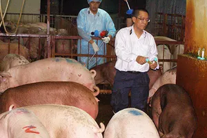 Truy tận gốc nơi cung cấp chất tạo nạc