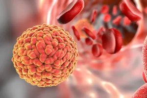 Không phát hiện virus Zika, địa phương chịu trách nhiệm