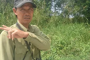 Theo dấu mãng xà U Minh Hạ - Bài 1: Khát khao diện kiến ‘thần rừng’