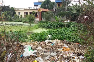 Trưởng thôn tự ý bán đấu giá đất của dân 